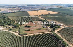 Puerto Real, Andalusia 11510