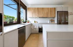 Tacoronte, Canary Islands 38350