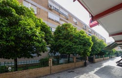 Sevilla, Andalusia 41006