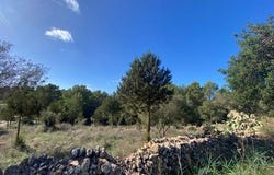 San Rafael, Comunidad Valenciana