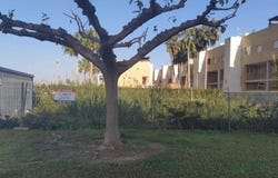 Xeraco, Valencian Community 46770