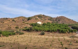 Guaro, Andalusia 29108
