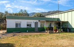 Amposta, Catalonia 43870