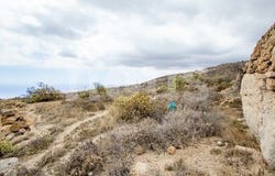 Tenerife, Canarias|Canary Islands