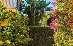 Campos, Balearic Islands 07639