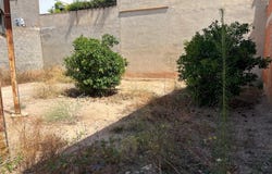 Albuixech, Valencian Community 46550