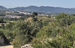 El Palomar, Valencian Community 46891