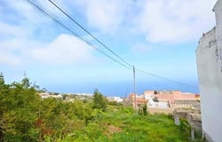 Icod de los Vinos, Canary Islands