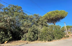 Lloret de Mar, Catalonia