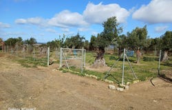Niebla, Andalusia 21840