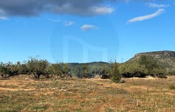 Camarles, Catalonia 43894