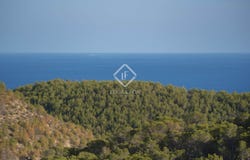 Roca Llisa, Balearic Islands 07819