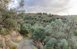 Salares, Málaga