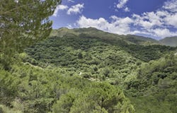 Coín, Andalusia 29100