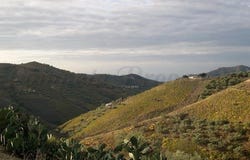 Canillas de Albaida, Andalusia 29755