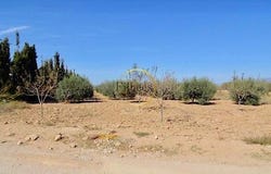 La Pinilla, Murcia 30335