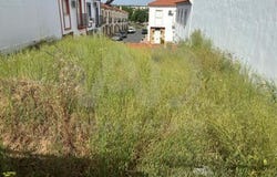 Calle del Agua, Cartaya, Andalusia 21450