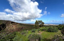 Telde, Canary Islands 35215
