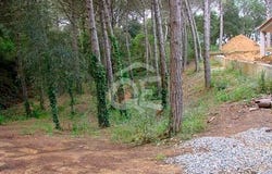 Calonge, Girona