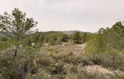 Petrer, Valencia 03610