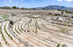 Teulada, Alicante