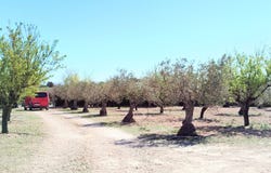 Caudete, Castilla le Mancha 02660