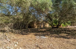 Sencelles, Balearic Islands 07140