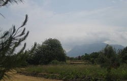 Denia, Valencian Community 03700