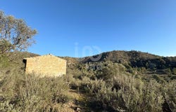 Flix, Catalonia 43750