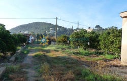 Oliva, Valencian Community 46780