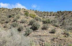 Torrox, Andalusia 29770