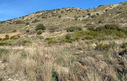 Coín, Andalusia 29100