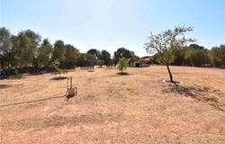 Llucmajor, Balearic Islands 07620
