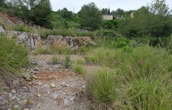 Olivella, Catalonia