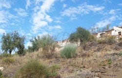 Sayalonga, Málaga