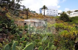 Arucas, Canary Islands 35400