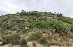 Ràfol d'Almúnia, Valencian Community