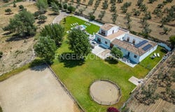 Espartinas, Andalusia 41807