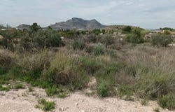 Agost, Valencian Community