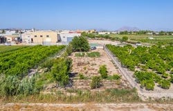 Formentera Del Segura, Costa Blanca (alicante)