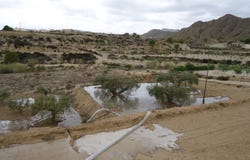 Abanilla, Murcia 30640