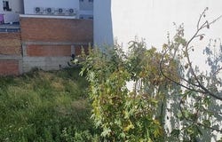 Alhaurin El Grande, Malaga 29120