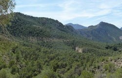 Murcia, Costa Blanca (alicante)