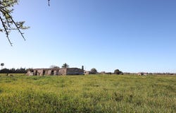 Binissalem, Balearic Islands 07350