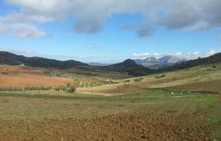 Ardales, Andalusia 29550
