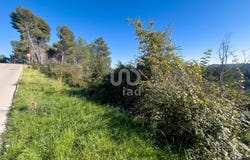 Vallirana, Catalonia 08759