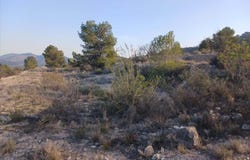 Monóvar/Monòver, Valencian Community