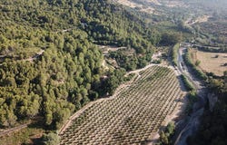 Gaucín, Andalusia 29480