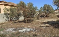 Padul, Andalusia