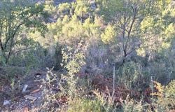 Pobla de Claramunt (La), Catalonia